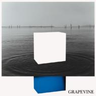 �C�f�A�̐���