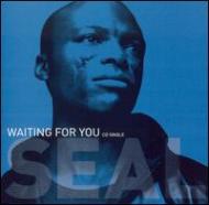Seal/Waiting For You