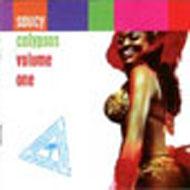 Various/Saucy Calypsos Vol.1