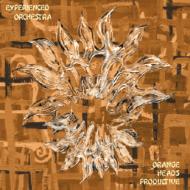 Orange Heads Productive/Experienced Orchestra