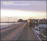Various/Light Of Day - A Tribute To Bruce Springsteen