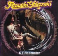 G.T.Resonator