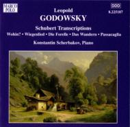 Complete Piano Works Vol.6-schubert Transcriptions: Scherbakov