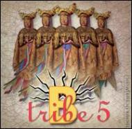 B Tribe/5