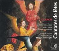 Festival Cantatas: Herreweghe / Collegium Vocale