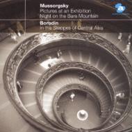 Avex Basic Classics Series35 Mussorgsky:Pictures At An Exhibition.Night On The Bare Mountain Borodi