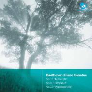 Avex Basic Classics Series3::Beethoven:Piano Sonatas No.14`moonlight`.No.8 Pathetique`no.23`appassio