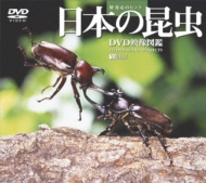 趣味 / 教養/日本の昆虫-dvd映像図鑑-