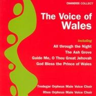 羧ʥ˥Х/The Voice Of Wales I. davies / Tredegar Orpheus Male Voice. cho