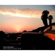 Best Of Natural Calamity 95-99