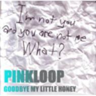 Goodbye My Little Honey