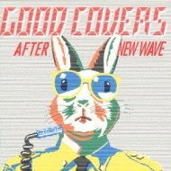 Various/After New Wave - Cover Hits!(Copy Control Cd)