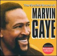 Marvin Gaye/Soulful Sound Of