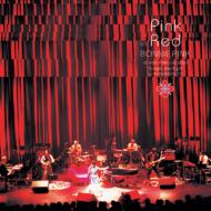 Pink in Red`BONNIE PINK LIVE 2003 gTonight,the Night" at AKASAKA BLITZ`