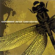 The Second Stage Turbine Blade