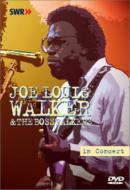 Joe Louis Walker/In Concert