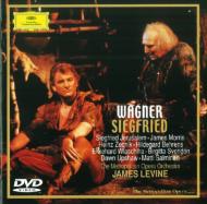 Wagner:Siegfried