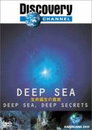 Deep Sea �����a���̐^��
