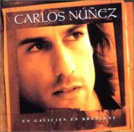 Un Galicien En Bretagne