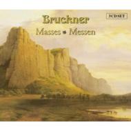 Mass.1-3, Te Deum, Etc: Matt / Reutlingen.po, Rilling / Bach-collegium, Etc