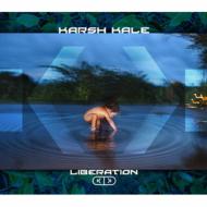 Karsh Kale/Liberation