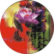 Vestax Sic Mat Sic Koi Mat