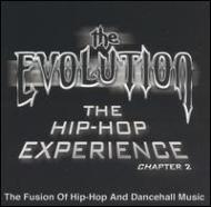 Various/Evolution - The Hip Hop Experience Chapter 2