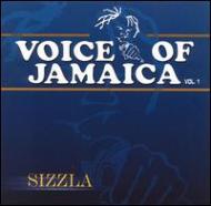 Sizzla/Voice Of Jamaica