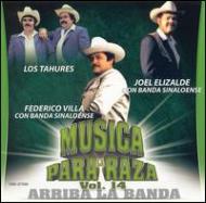 Various/Musica Pa La Raza Vol.14 - Arriba Banda