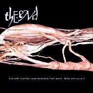 Transfer Trachea Reverberations From Point