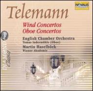 ƥޥ1681-1767/Wind Concertos Haselbock / Wiener Akademie Oboe Concertos Indermuhle / Eco