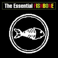 The Essential Fishbone