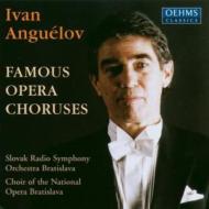 Opera Choruses Classical/Famous Opera Choirs Anguelov / Slovak. rso  National Opera. cho