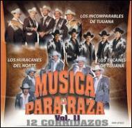 Various/Musica Pa La Raza Vol.11