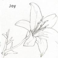 Joy (Rock)/Joy