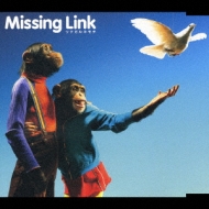 Missing Link/ĥʥ륭