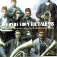 Various/Blowers From The Balkans