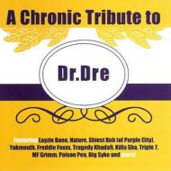 Chronic Tribute To Dr.Dre