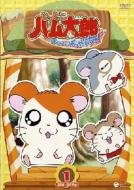 Tottoko Ham Taro Hamuhamu Paradaichu! 1 245-249