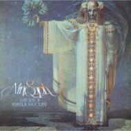 A Story Of Mysterious Forest