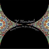 Of Montreal/Hissing Fauna Are You The Destroyer