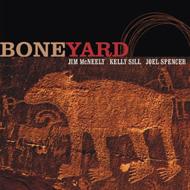 Boneyard