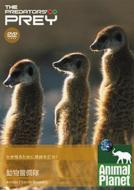 �A�j�}�� �v���l�b�g: �a�H�ɂȂ�܂���: �����x����