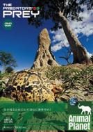 �A�j�}���v���l�b�g: �a�H�ɂȂ�܂���: ����