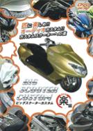 Big Scooter Custom: �y��