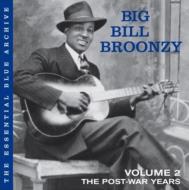 Big Bill Broonzy/Post War Years Vol.2 (Rmt)