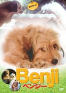 Benji