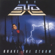 Brave The Storm