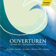 Orchestral Concert/Overtures-mozart Rossini Salieri Beethoven： Fey / Heidelberg So