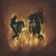 Besnardlakes/Besnard Lakes Are The Dark Horse